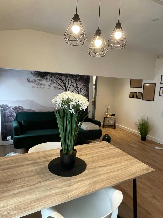 Magnifique Appartement Au Coeur De La Ville Béziers Buitenkant foto
